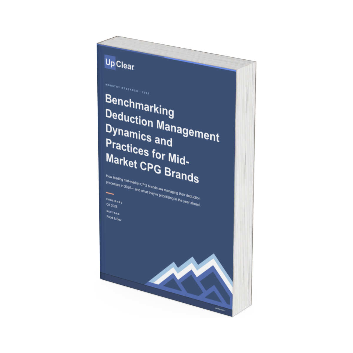 Deduction Report eBook Mockup